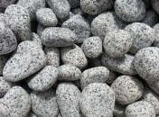 Galet gris moucheté